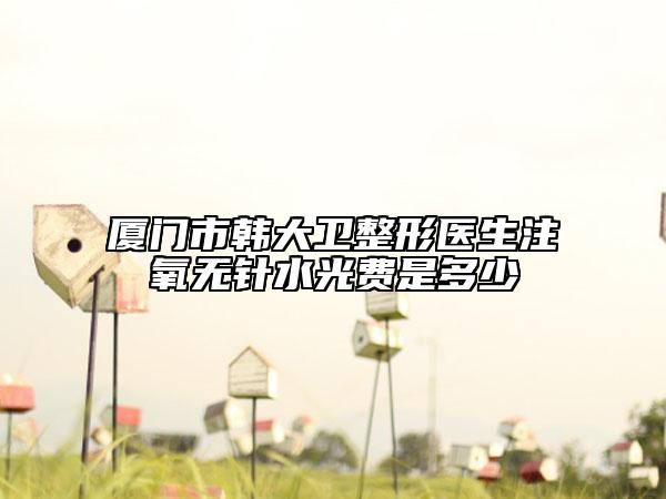 厦门市韩大卫整形医生注氧无针水光费是多少
