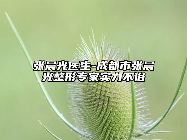 张晨光医生-成都市张晨光整形专家实力不俗