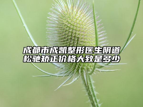 成都市成凯整形医生阴道松驰矫正价格大致是多少