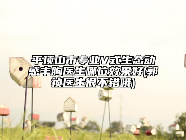 平顶山市专业V式生态动感丰胸医生哪位效果好(郭祯医生很不错哦)