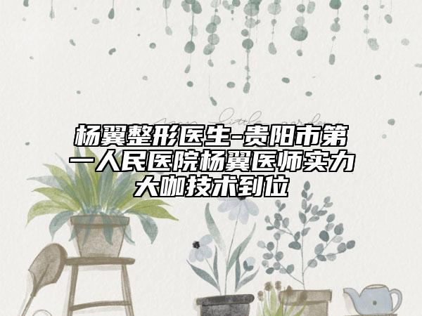杨翼整形医生-贵阳市第一人民医院杨翼医师实力大咖技术到位