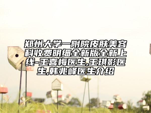郑州大学一附院皮肤美容科收费明细全新版全新上线-王喜梅医生,王琪影医生,韩兆峰医生介绍