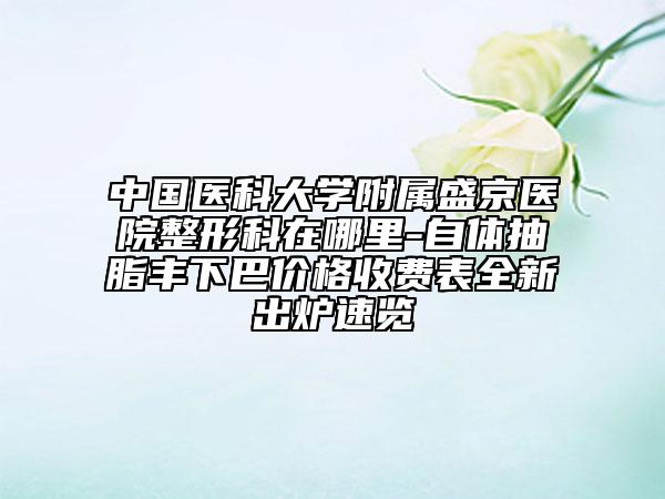 中国医科大学附属盛京医院整形科在哪里-自体抽脂丰下巴价格收费表全新出炉速览